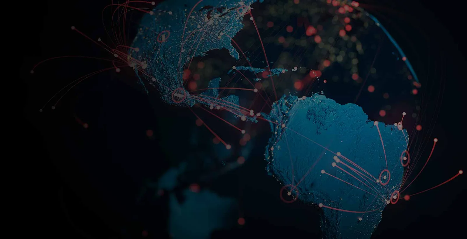Goose Digital, Professional Services case study