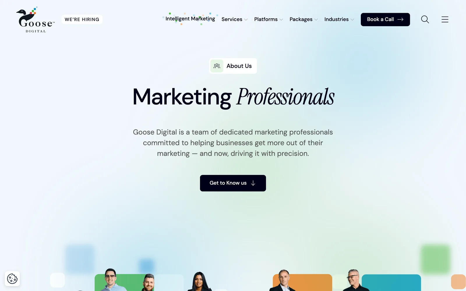 Goose Digital — view 3