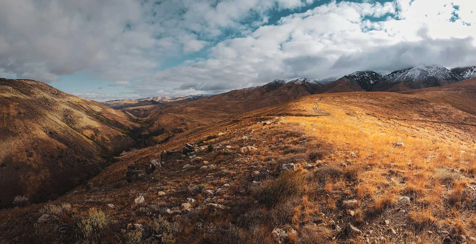 HuntStand, Software & Technology case study